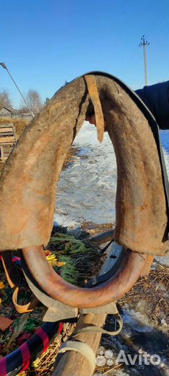 Хомут для лошади 5