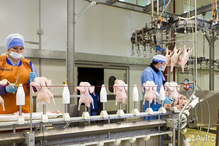 Обвальщик мяса индейки Вахта/рф/Проезд
