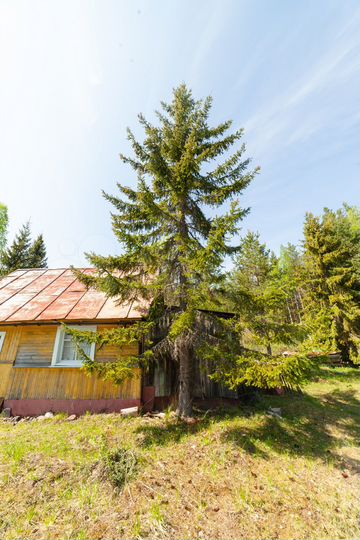 Дача 50 м² на участке 15 сот.