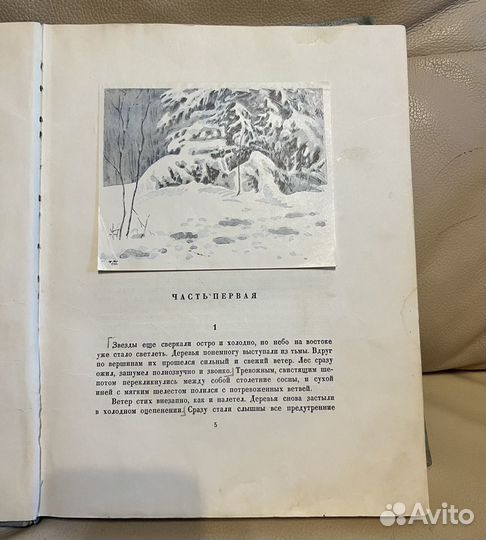 «Повесть о настоящем человеке» Б.Полевой Эксклюзив