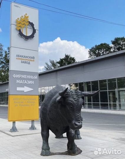 Корма для с/х животных, кормо-и зерносмеси, зерно