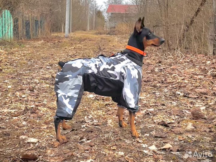 Комбинезон для собаки