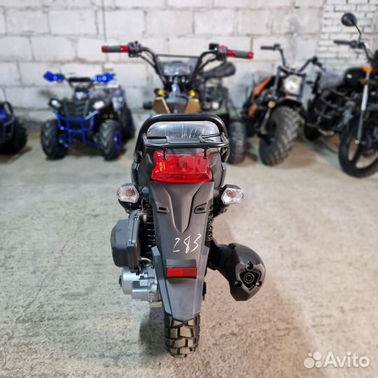 Скутер Honda Zoomer 150cc(49сс) реплика Коричневый