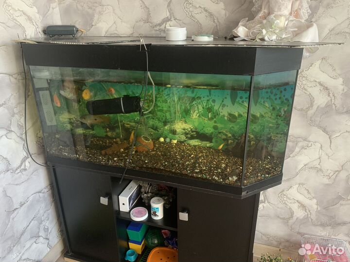 Аквариум с тумбой м с рыбками