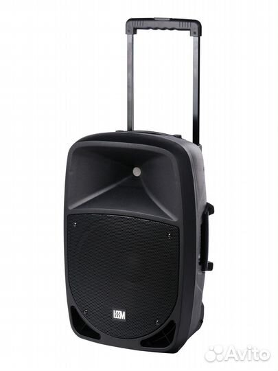 Акустическая система с 2 микрофонами