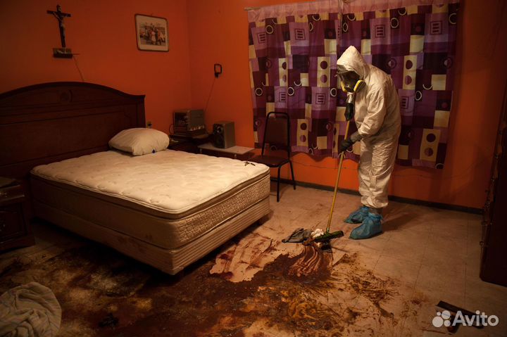 Благовещенск Уничтожение Клопы Тараканы Блохи Осы