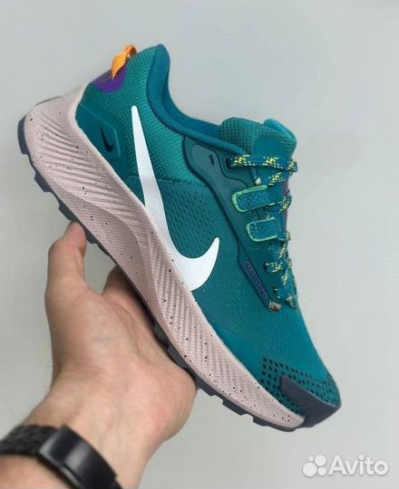 Nike Pegasus (38)