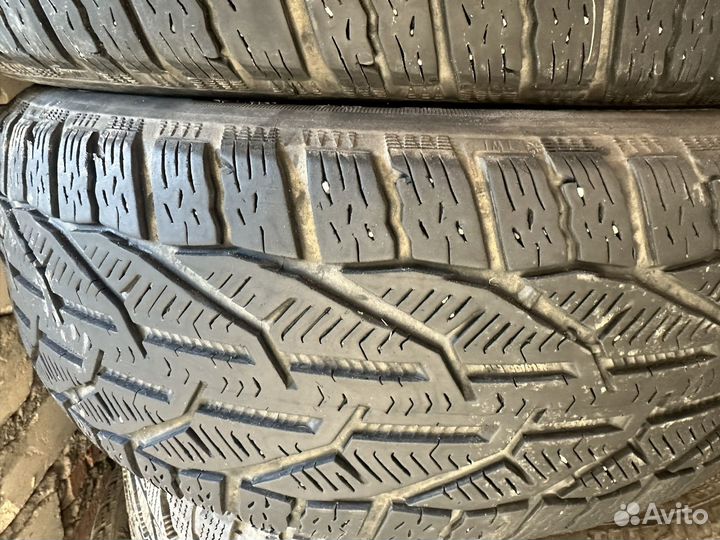 Tigar All Season 7 R17 33