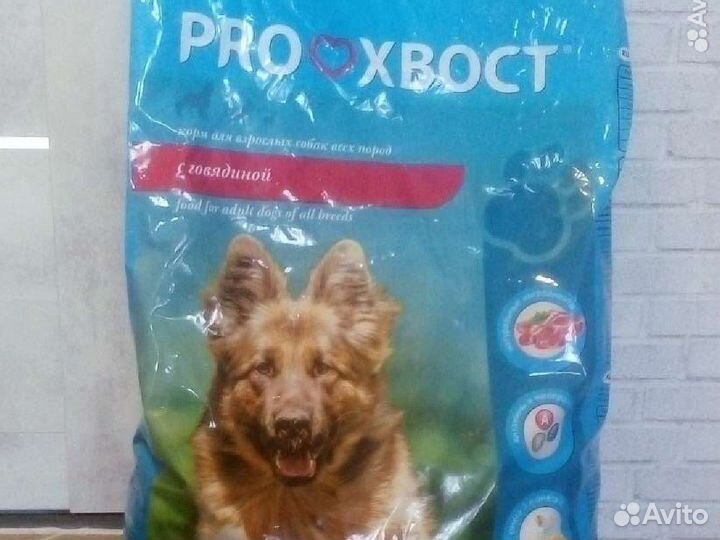 Корм для собак прохвост