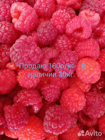 Ягоды малины