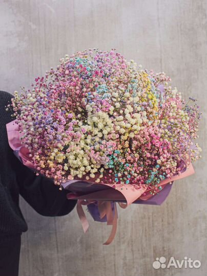 Гипсофила белая и радужная