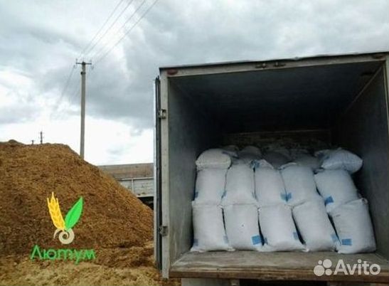 Конский перепревший навоз