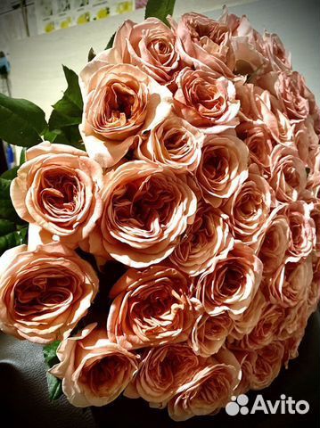 Букеты из 101 розы