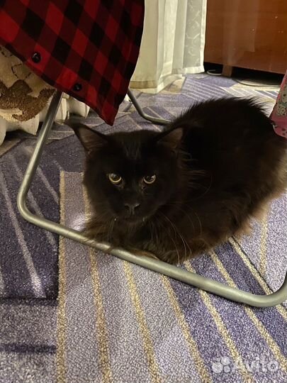 Мэйн кун вязка