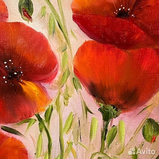 Картина маслом на холсте с Яркими Маками 50х40