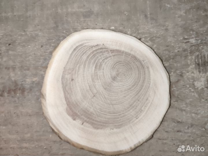 Торцевые спилы деревьев