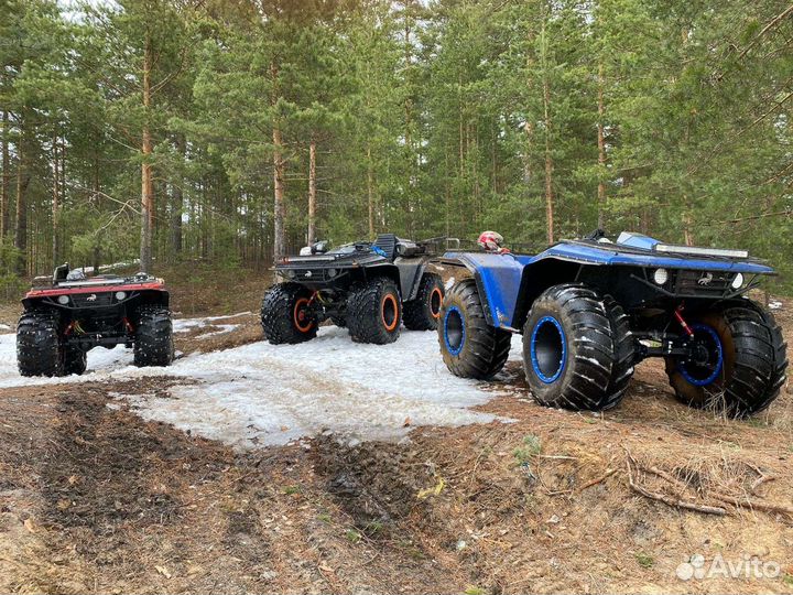 Квадроцикл вездеход T-REX