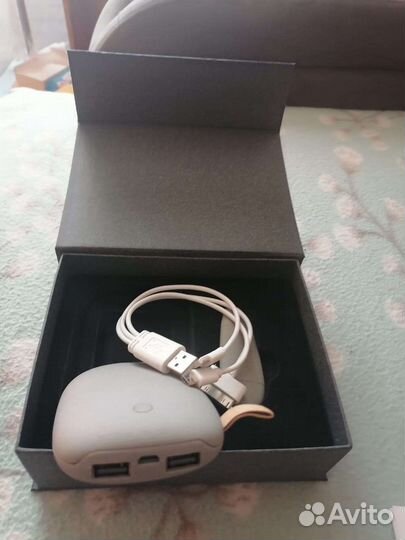 Павербанк+флэшка