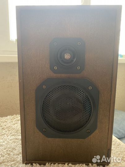 Колонки радиотехника s 30а