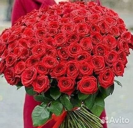 101 Роза Цветы Букеты 51 25 Роз Доставка