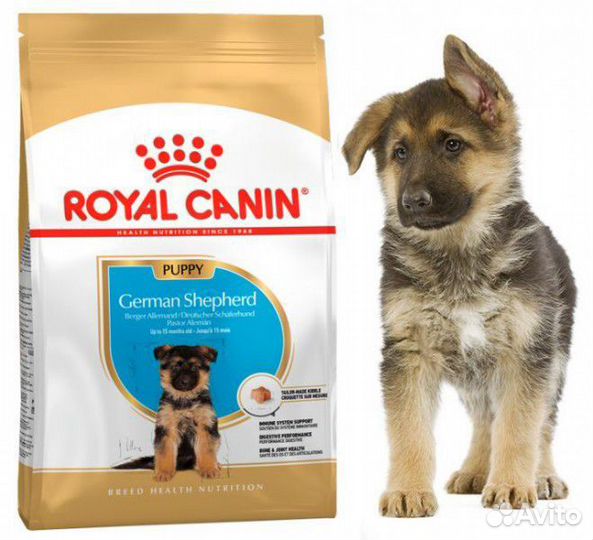 Сухой корм для собак Royal Canin German Shepherd