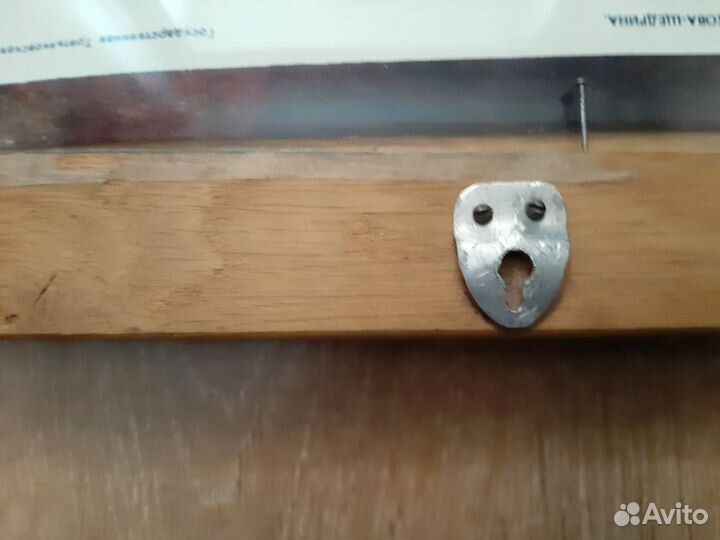 Картина Салтыков-Щедрин 20 на 30см