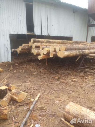 Разнорабочие