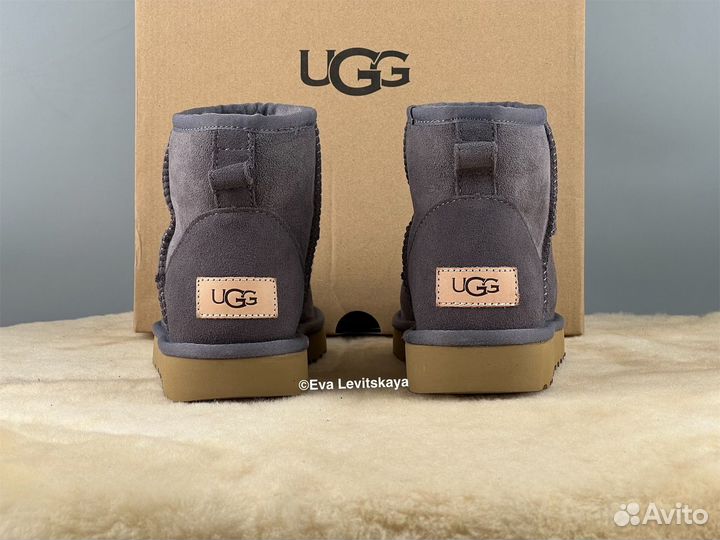 Угги женские Ugg Classic Mini II Shade