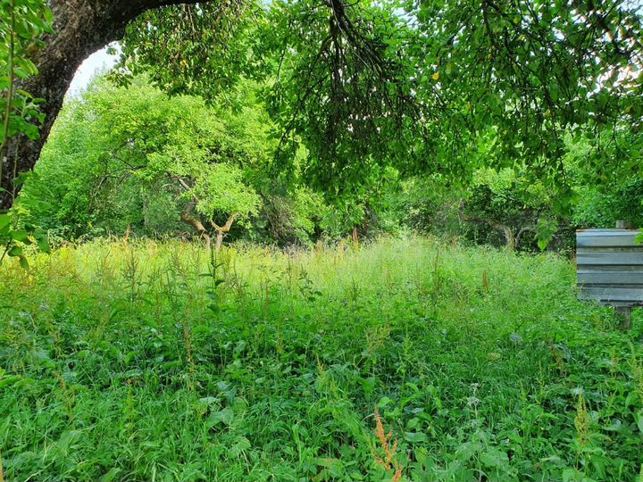 Участок 54 сот. (ИЖС)