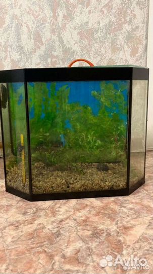 Аквариум для рыбок