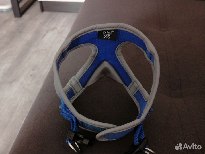 Шлейка для маленькой собаки