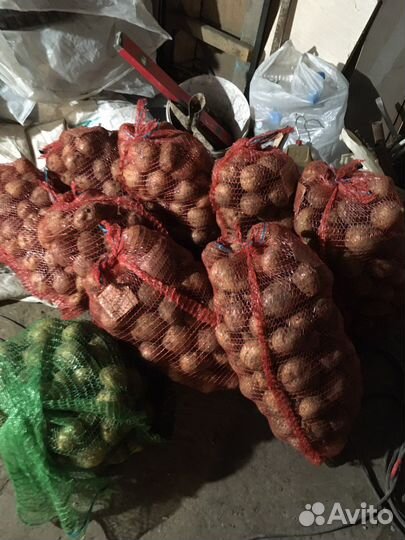 Продам картошку