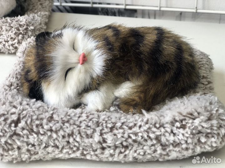 Мягкие сувенир кошка