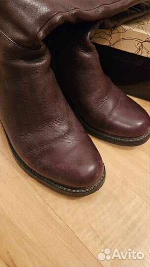 Демисезонные сапоги женские