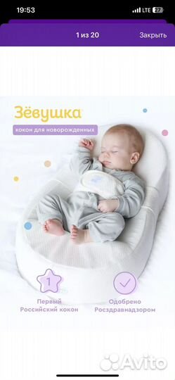 Кокон зевушка