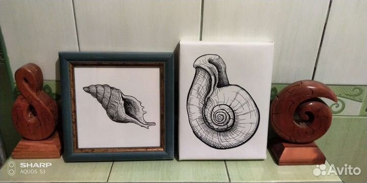 Картины птицы листья ракушки