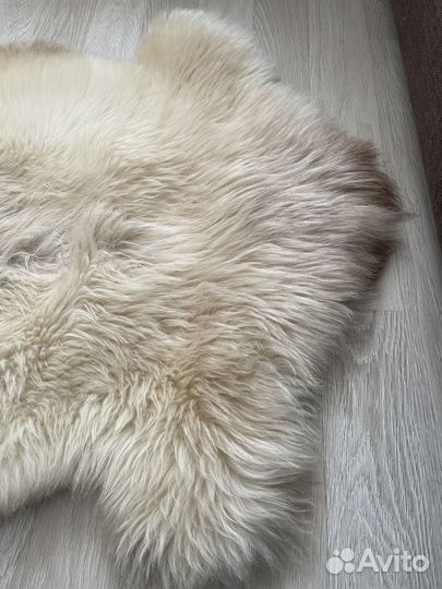 Шкура овечья шкурка