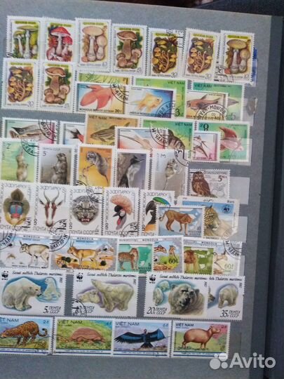 Альбом 1000+ марок