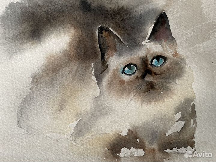 Акварельный кот