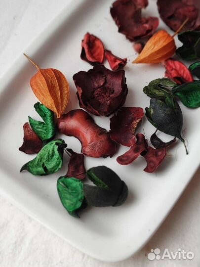 Сухоцветы/сухие цветы/гербарий