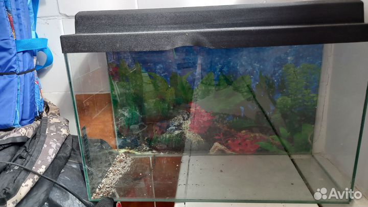 Аквариум