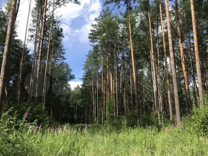 Участок 6,95 га (ИЖС)