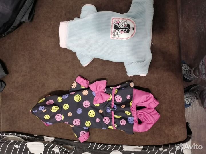 Одежда для маленьких собак и кошек