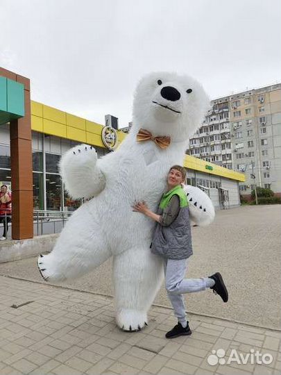 Поздравление от Белого медведя
