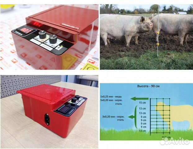 Электропастух для свиней