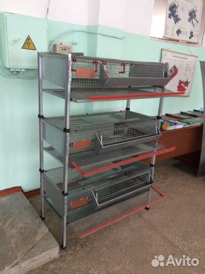 Клетки перепелиные