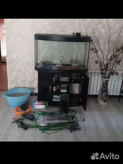 Аквариум панорамный 250л