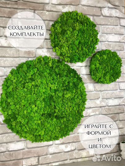 Картина круглая 40 см из стабилизированного мха