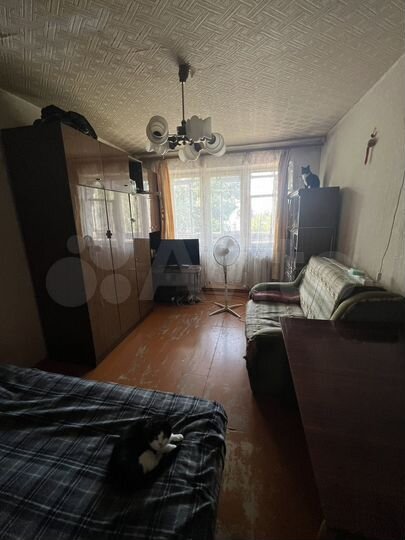 1-к. квартира, 30,6 м², 5/5 эт.