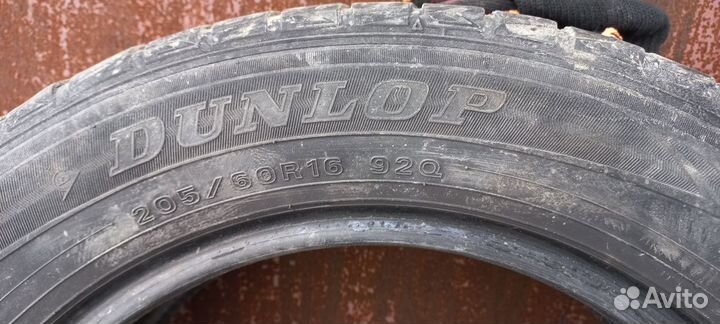 Dunlop Winter Maxx WM01 205/60 R16